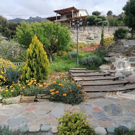 Coin De Paradis Vue Dominante Sur Mer, Montagne Et Tour Genoise Avec Jacuzzi Pino Εξωτερικό φωτογραφία