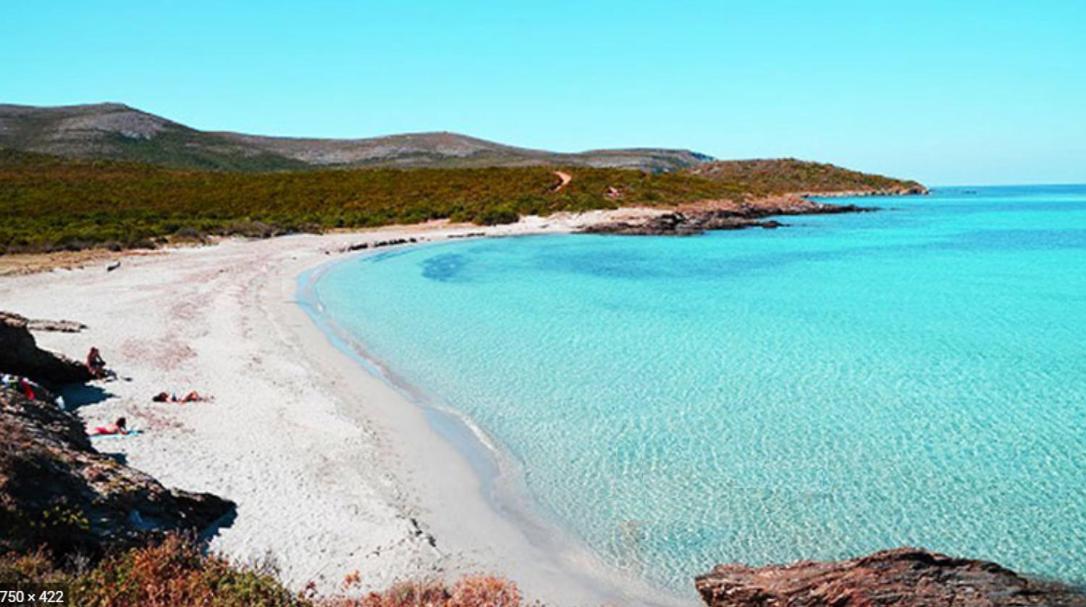 Coin De Paradis Vue Dominante Sur Mer, Montagne Et Tour Genoise Avec Jacuzzi Pino Εξωτερικό φωτογραφία