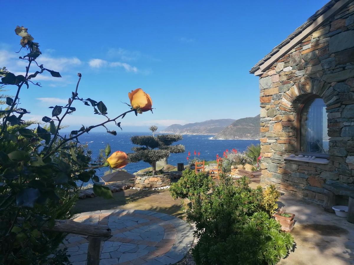 Coin De Paradis Vue Dominante Sur Mer, Montagne Et Tour Genoise Avec Jacuzzi Pino Εξωτερικό φωτογραφία