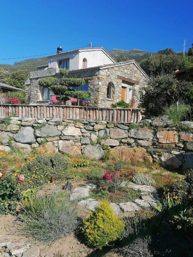 Coin De Paradis Vue Dominante Sur Mer, Montagne Et Tour Genoise Avec Jacuzzi Pino Εξωτερικό φωτογραφία