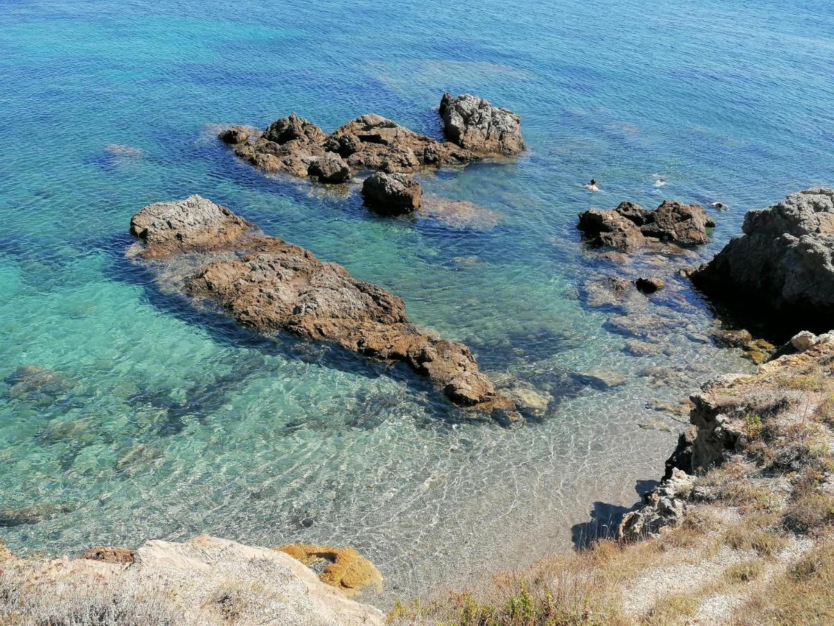 Coin De Paradis Vue Dominante Sur Mer, Montagne Et Tour Genoise Avec Jacuzzi Pino Εξωτερικό φωτογραφία