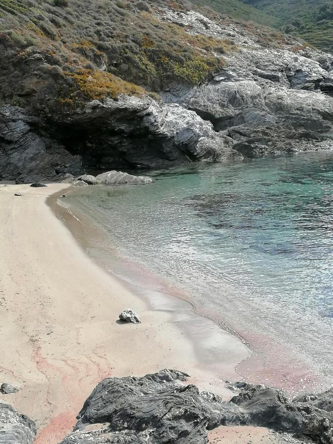 Coin De Paradis Vue Dominante Sur Mer, Montagne Et Tour Genoise Avec Jacuzzi Pino Εξωτερικό φωτογραφία
