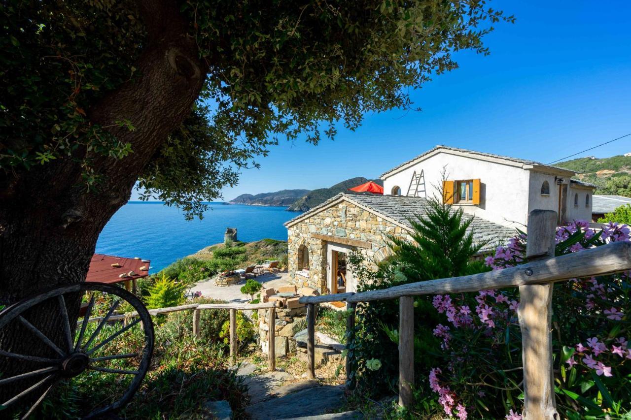 Coin De Paradis Vue Dominante Sur Mer, Montagne Et Tour Genoise Avec Jacuzzi Pino Εξωτερικό φωτογραφία