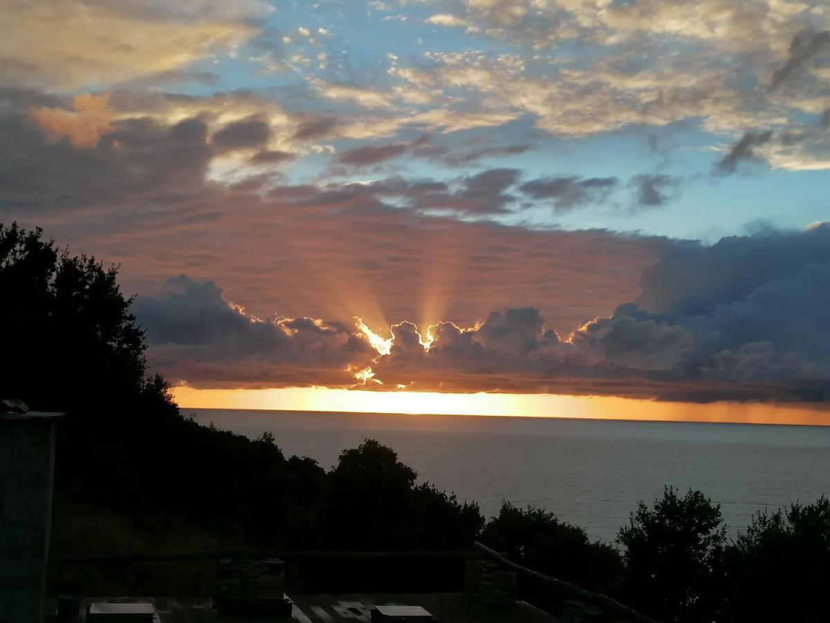 Coin De Paradis Vue Dominante Sur Mer, Montagne Et Tour Genoise Avec Jacuzzi Pino Εξωτερικό φωτογραφία