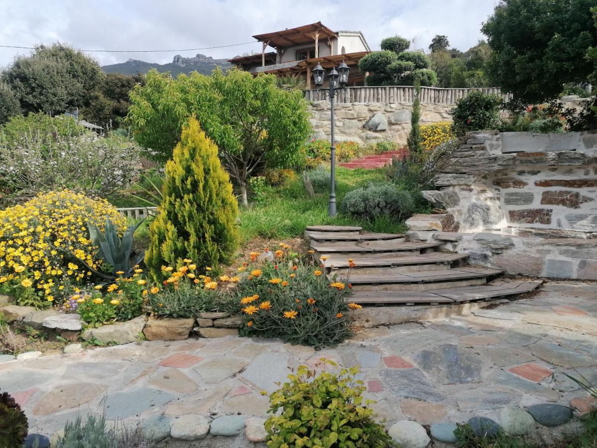 Coin De Paradis Vue Dominante Sur Mer, Montagne Et Tour Genoise Avec Jacuzzi Pino Εξωτερικό φωτογραφία